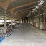 Inside of barn structure