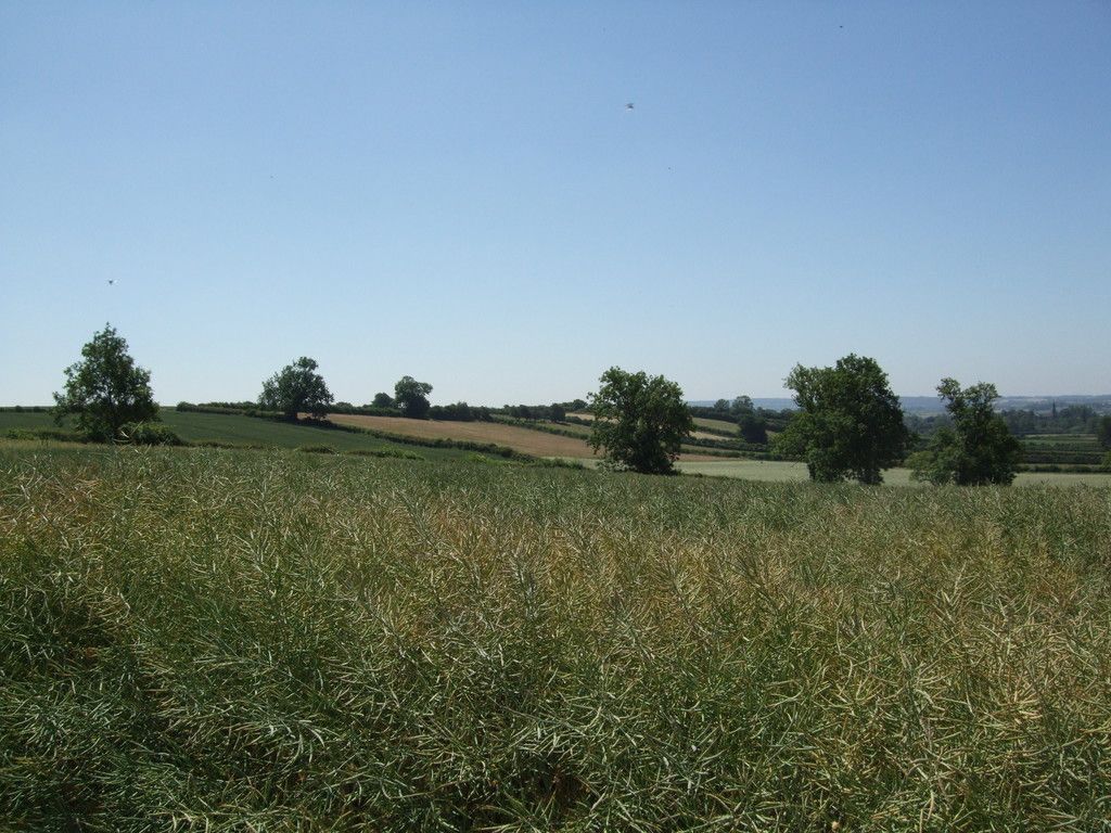 Open countryside