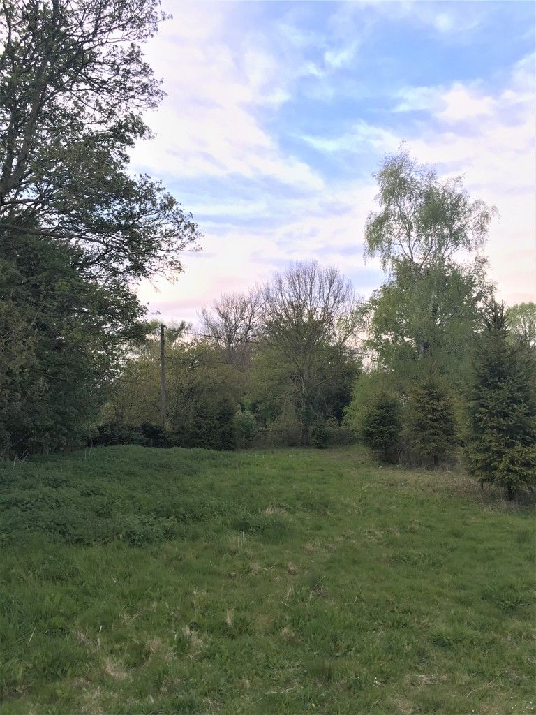field in countryside