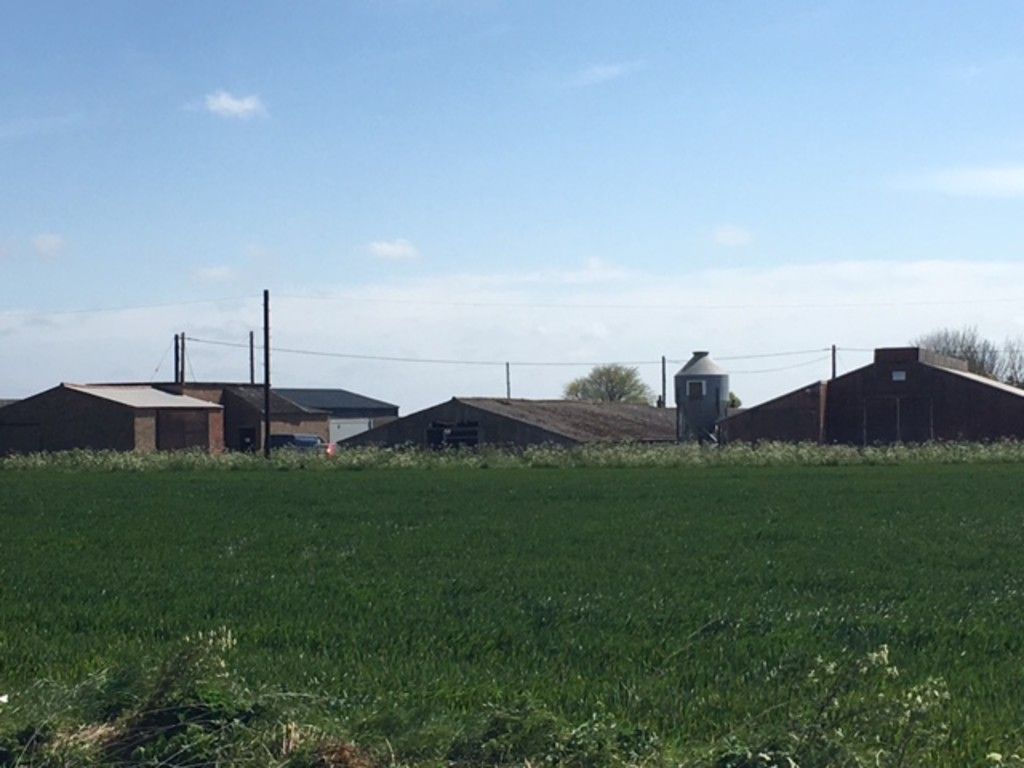 Field view of barn