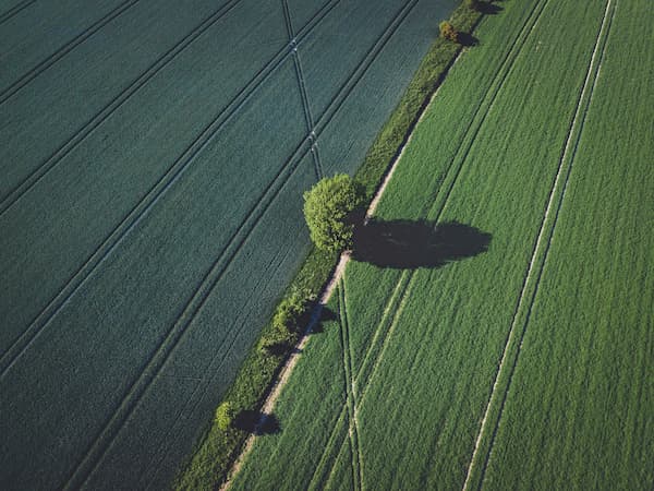 Long field in countryside